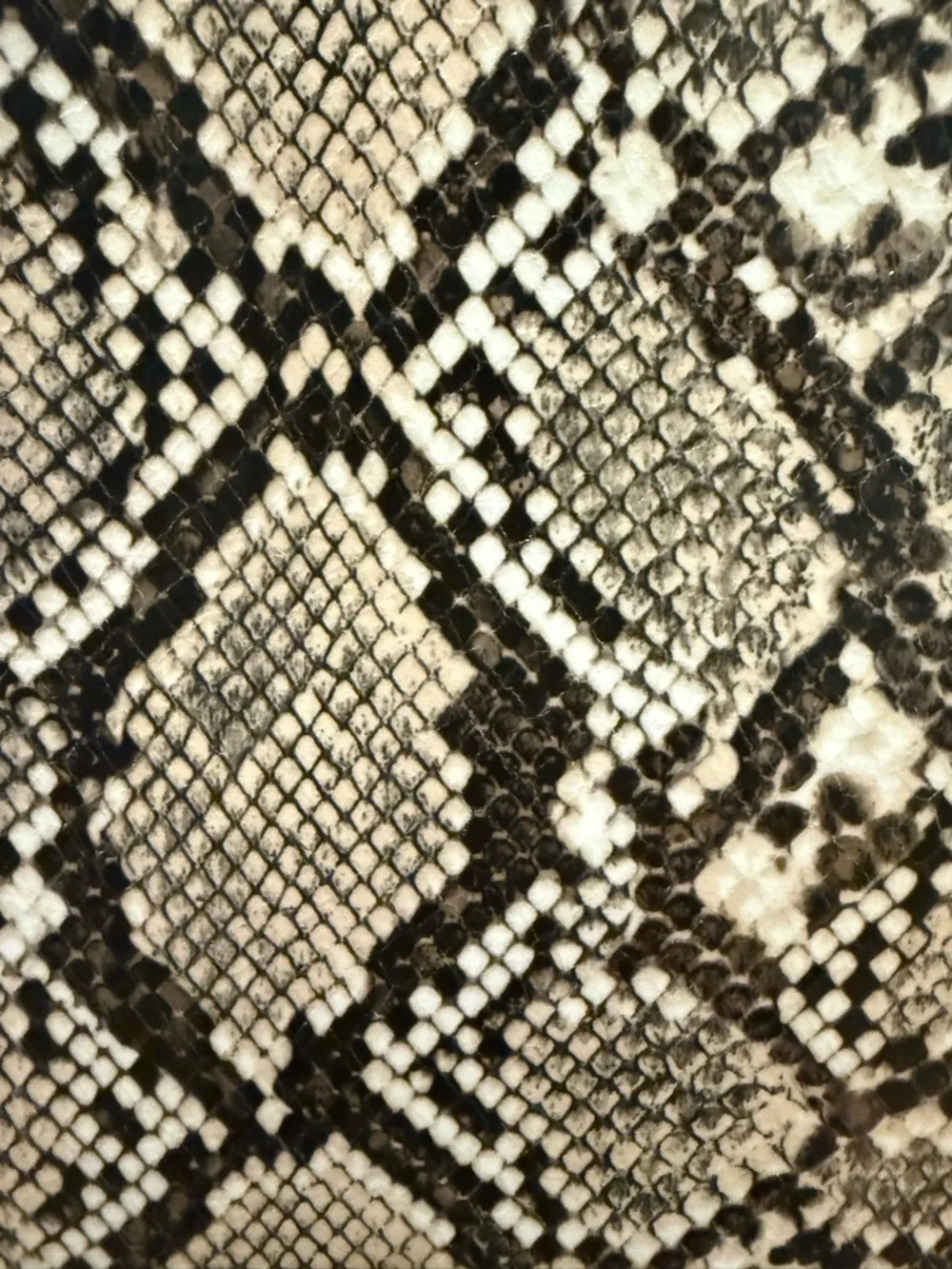 Zara Snake-Print Knee-High Boots in Black and Cream - Picture 4 of 4